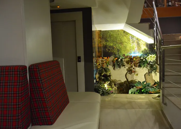 Hhb Confort Pontevedra